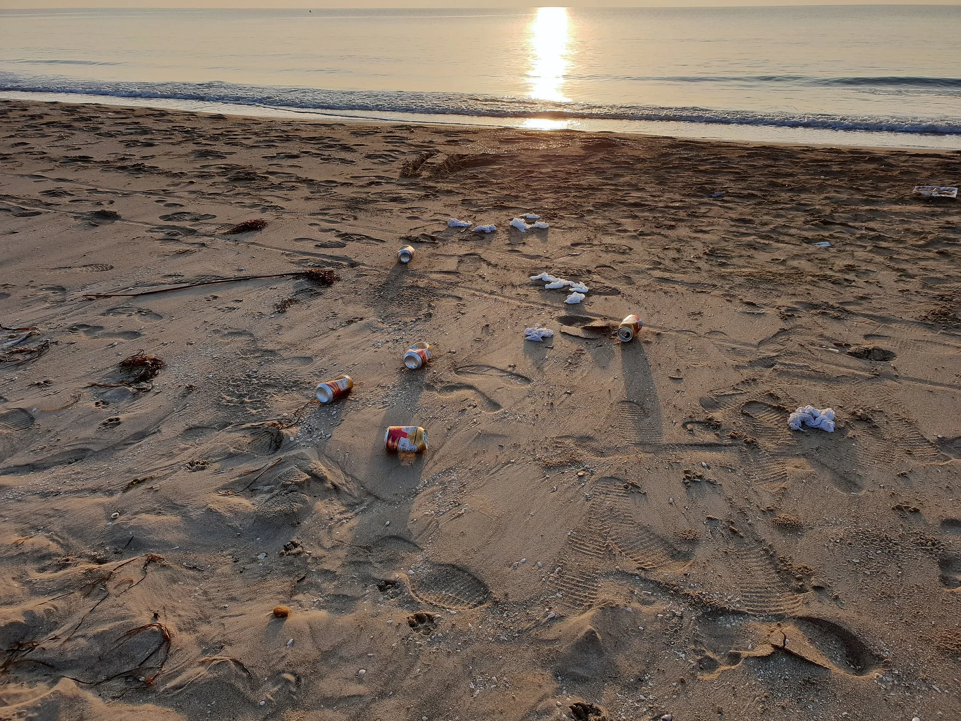 Ocean Clean up