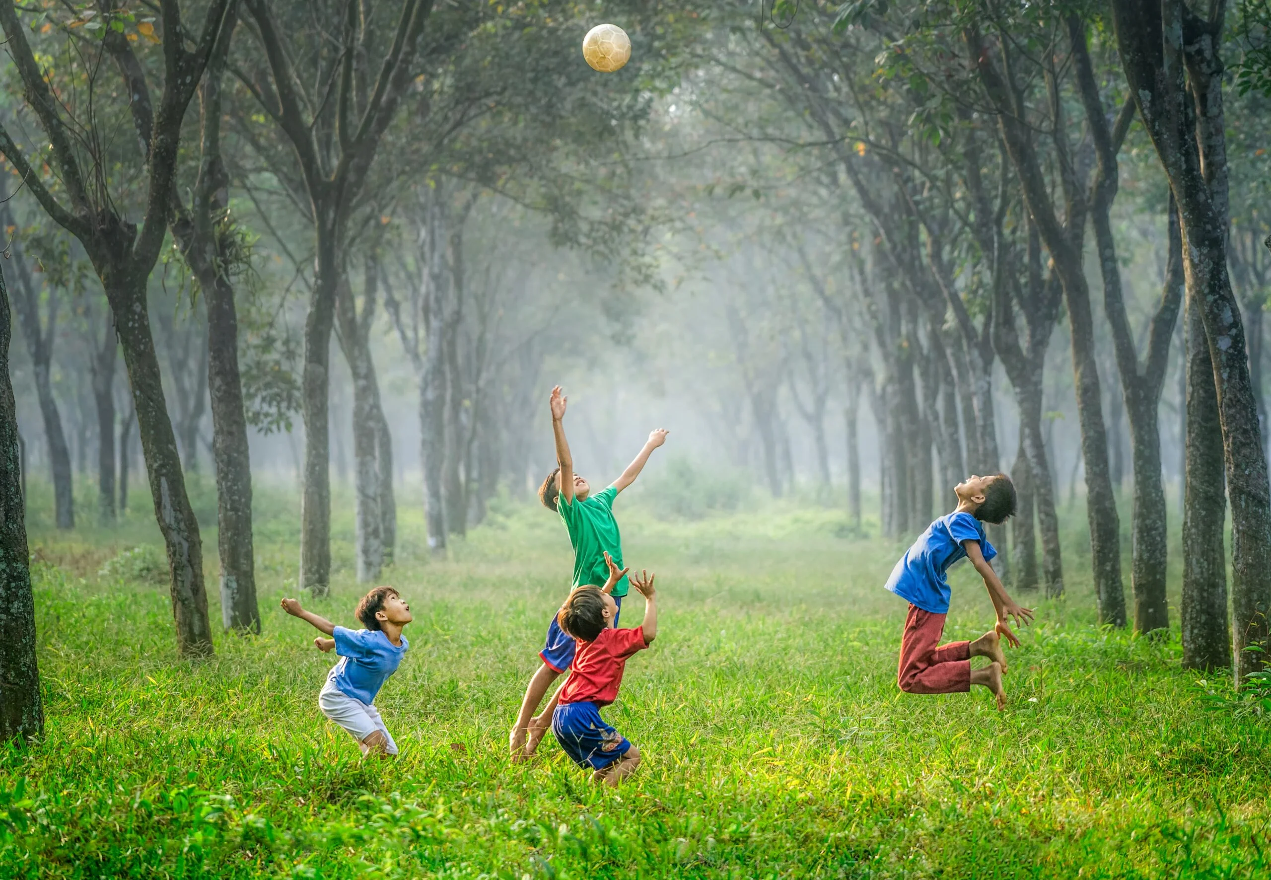 Spielende Kinder auf Wiese