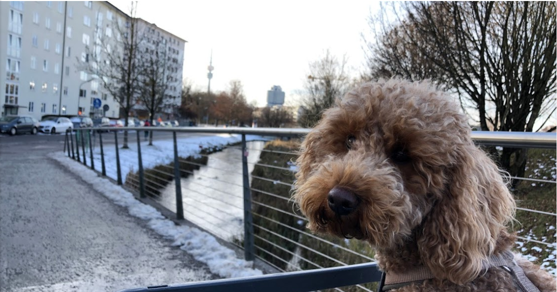 Historisches-Muenchen-Milbertshofen-mit-Josie