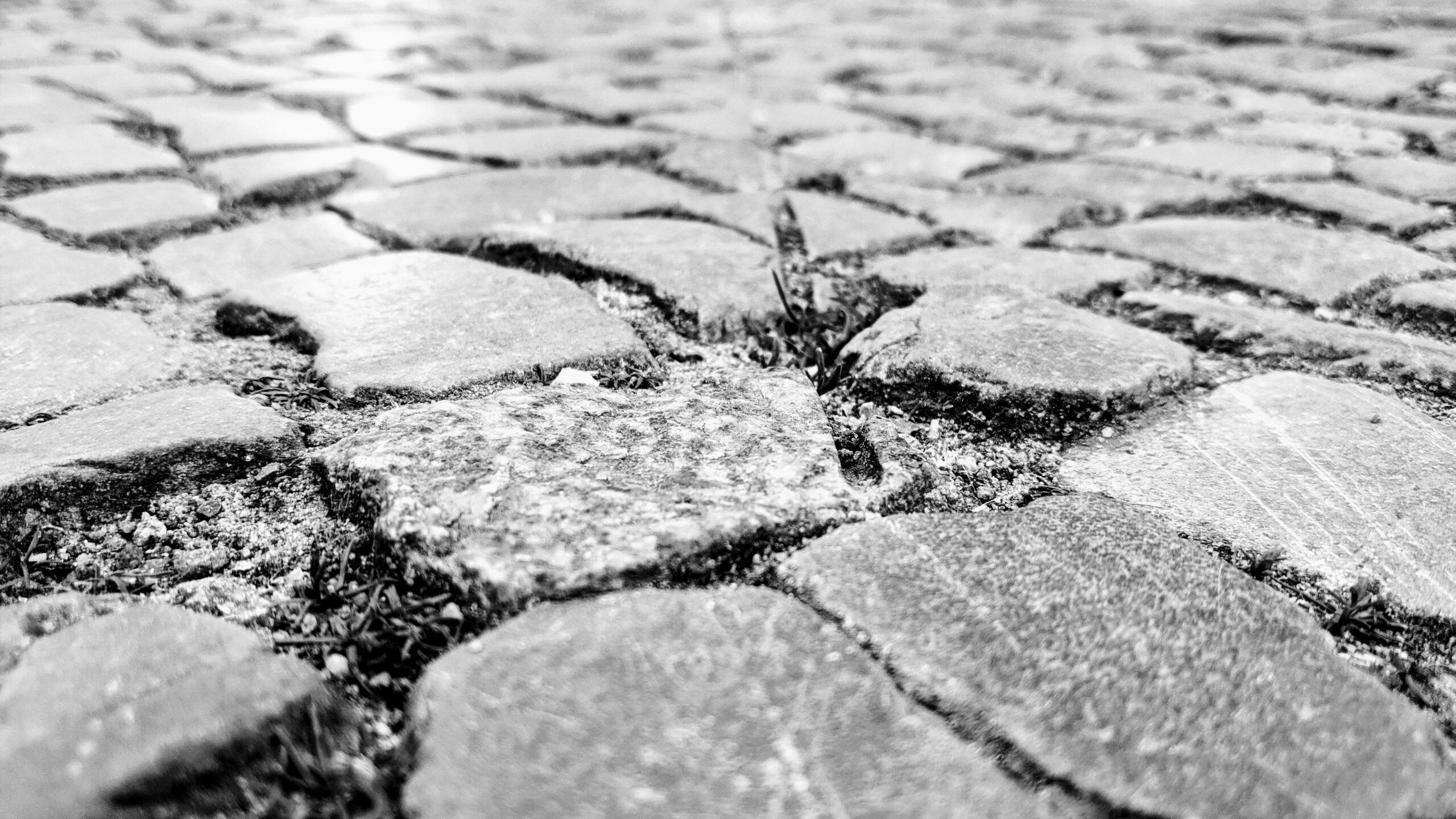 Walk the line eine mysteriöse Linie in Berlin Neukölln 1