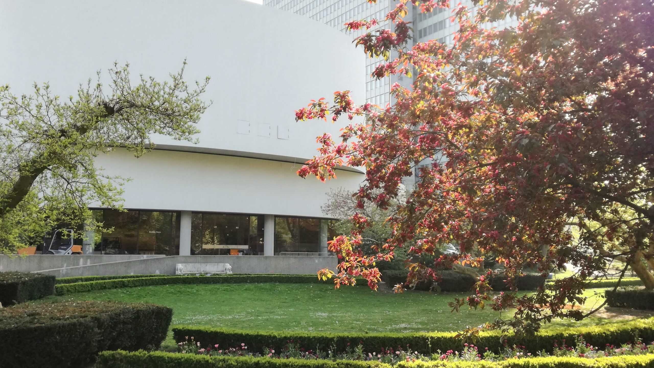 Katzenbank Hofgarten hinter dem Schauspielhaus Düsseldorf