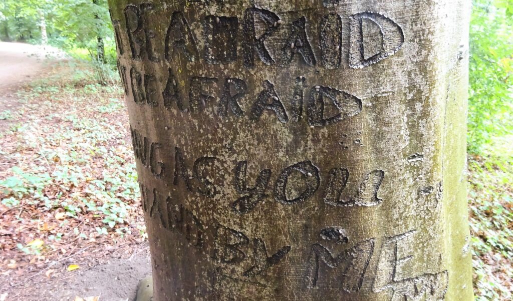 Stand By Me Baum im Tiergarten Berlin an der Großen Sternallee Detailansicht