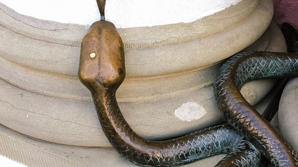 Warum liegt vor dem Rathaus Rostock eine Schlange namens Johannes