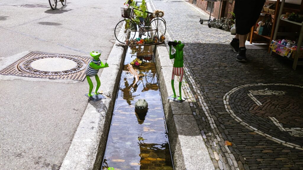 Freiburg im Breisgau Bächle