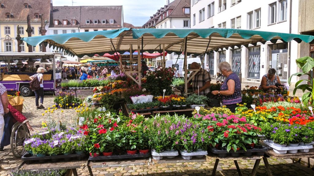 Freiburg im Breisgau Markt