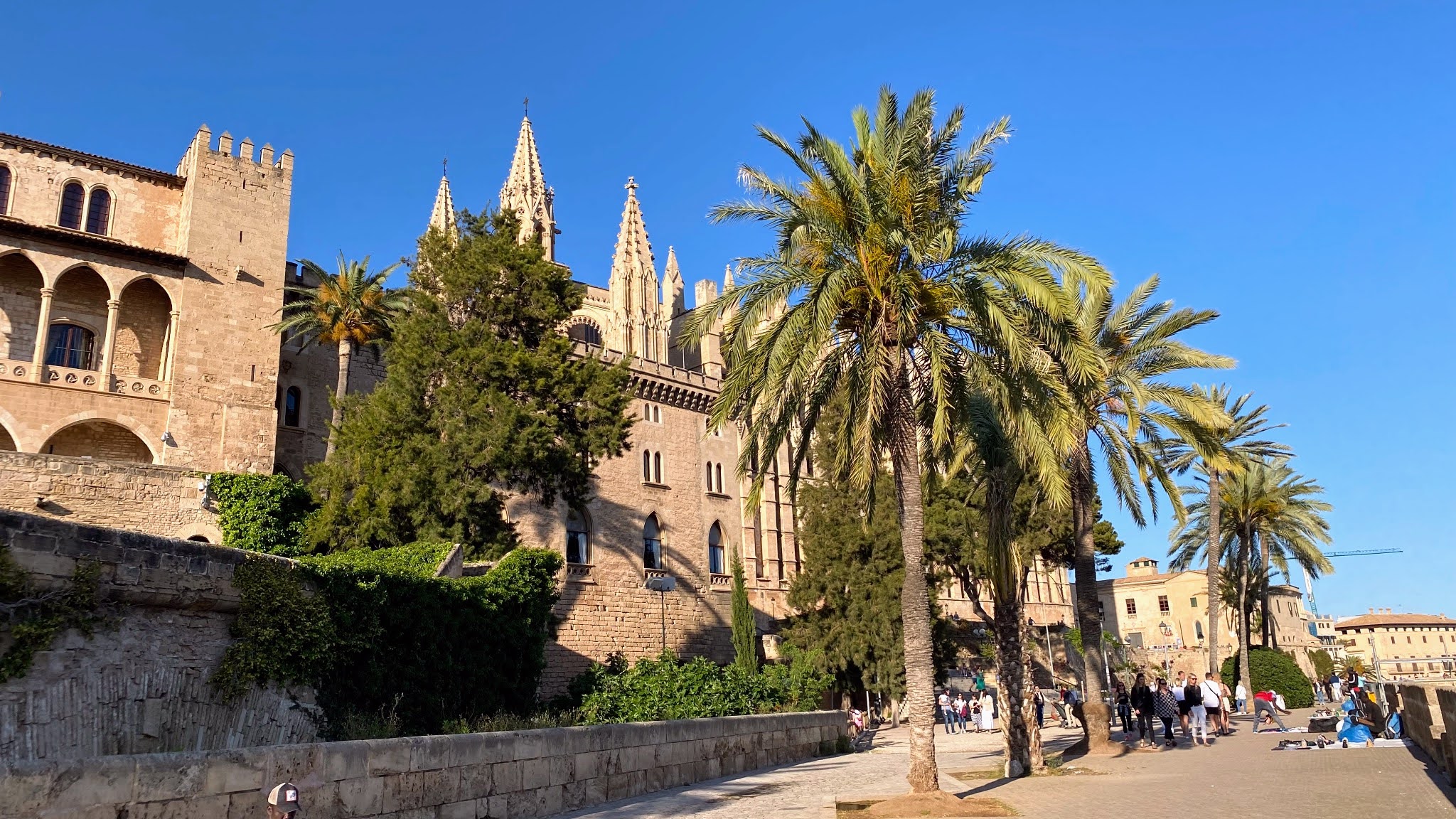Palma de Malorca Sehenswürdigkeiten, Geheimtipps & Touren