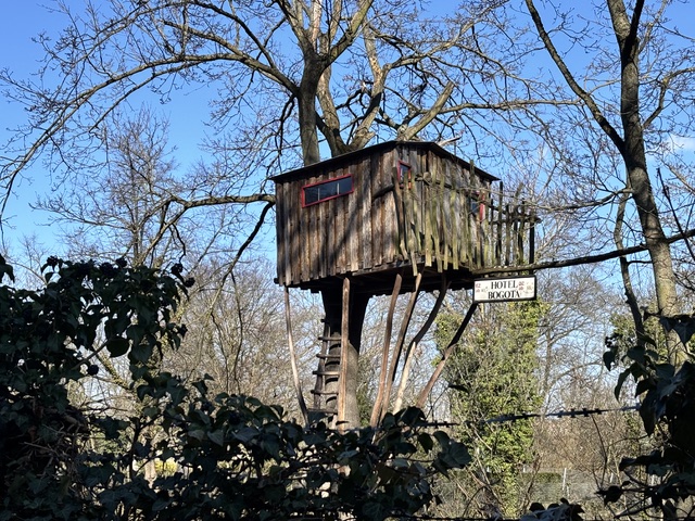 Baumhaus Hotel Bogota