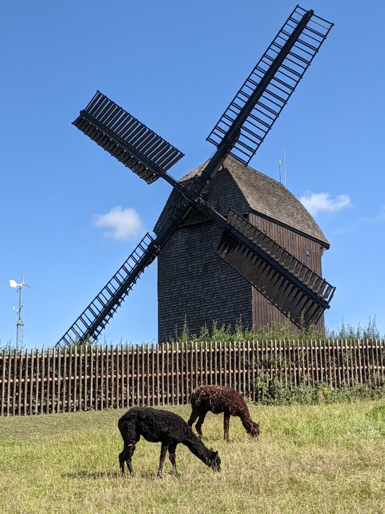 Mühle in Berlin Marzahn