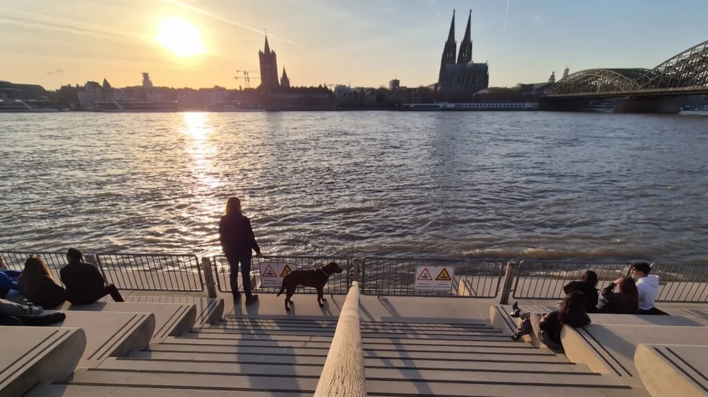 Köln mit Hund Rheinboulevard in Köln-Deutz