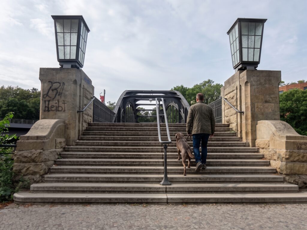 berlin stadt der brücken mit hund innenstadt erleben