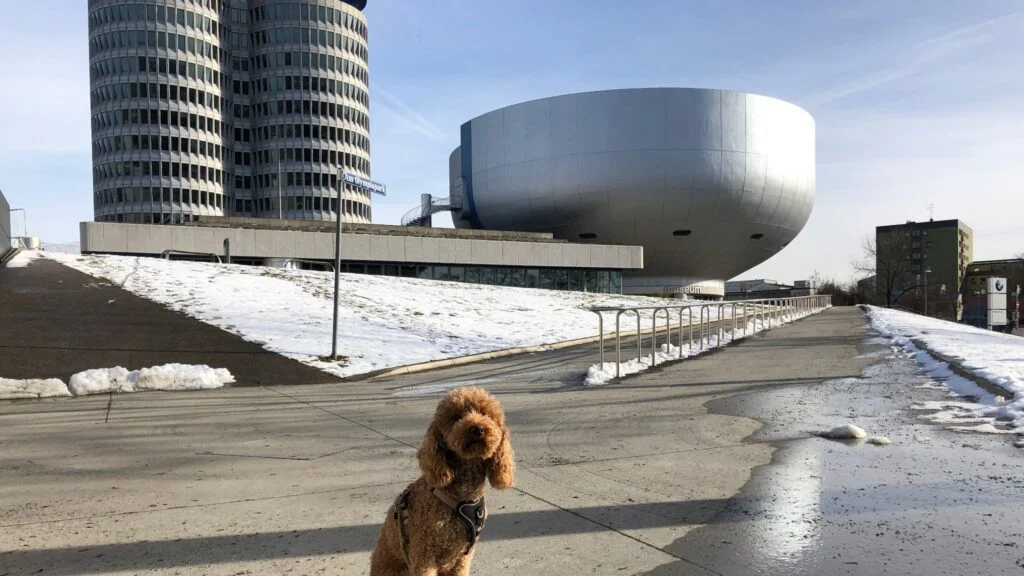 münchen mit hund ein Spaziergang im historischen München Milbertshofen